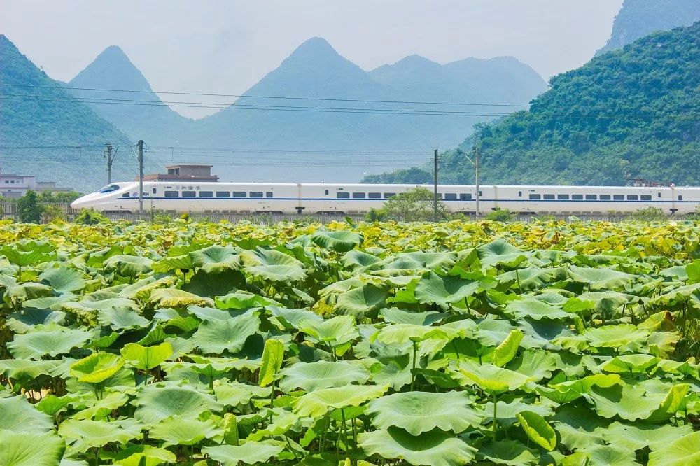 中国铁路南宁局集团招聘2018届毕业生105人(