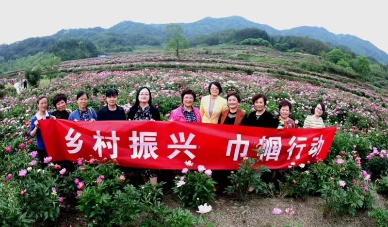 她之声聚焦乡村振兴巾帼行动唱响广阔天地