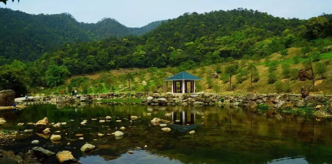 人间福地在从化,半城荔园半城美景