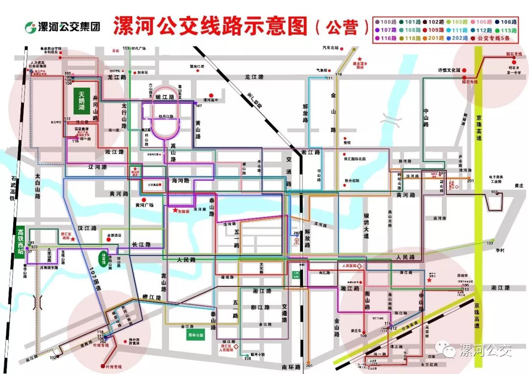 视频我市新增260台纯电公交车开通4条新线路