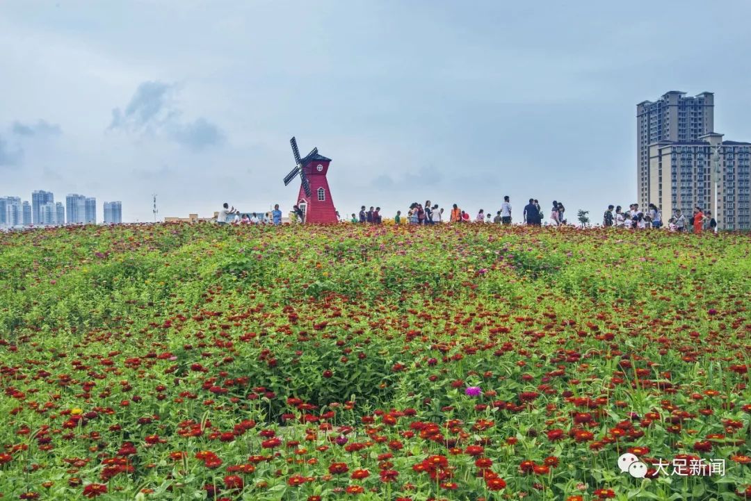 大足双桥人口_大足区双桥中学图片