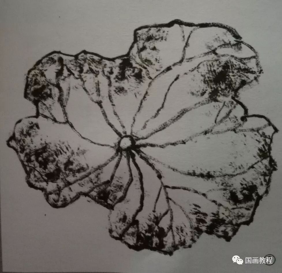 荷花结构的分解方法—荷叶的画法(2)