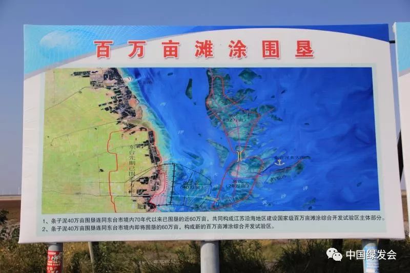 周晋峰:江苏条子泥应包括在中国"渤海湾-黄海海岸带"世界自然遗产提名