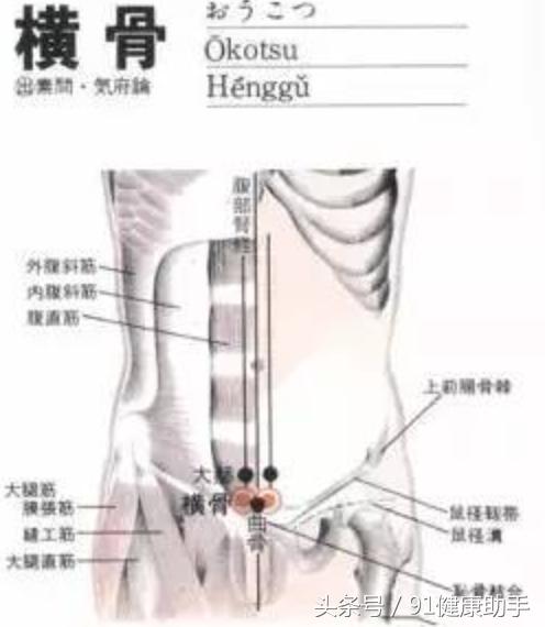 穴位养生|月经不调,遗精阳痿,小腹痛按横骨,益肾助阳