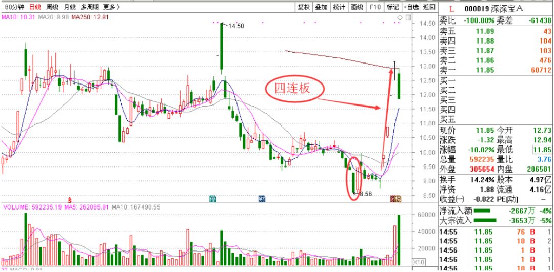 【股票课堂】以深深宝a为例,图解"涨停强势反包"