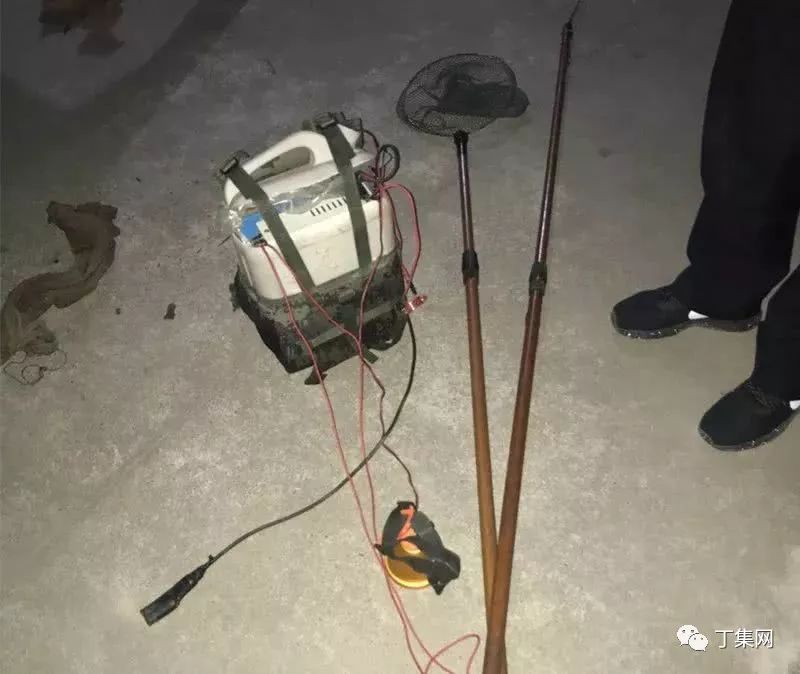 六安丁集夜晚电捕猖獗,您肩上的电瓶是一份罪名!