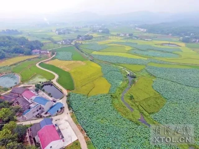 茶恩寺镇人口_人口普查