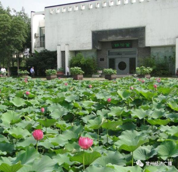 常州荷园坐落在城西新闸,占地近200亩,是华东地区唯一一个以荷文化为