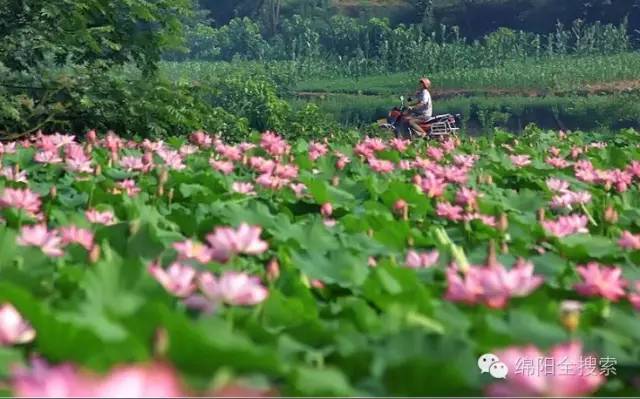 绵阳三台四平乡有多少人口_四平下三台水库风景图