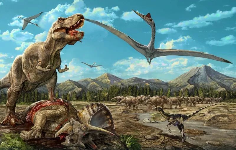 恐龙其实并未灭绝?侏罗纪公园在身边,你家里也可以养