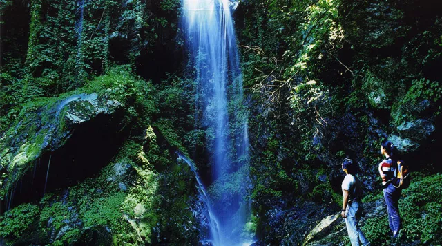 沩山人口_沩山风景名胜区图片