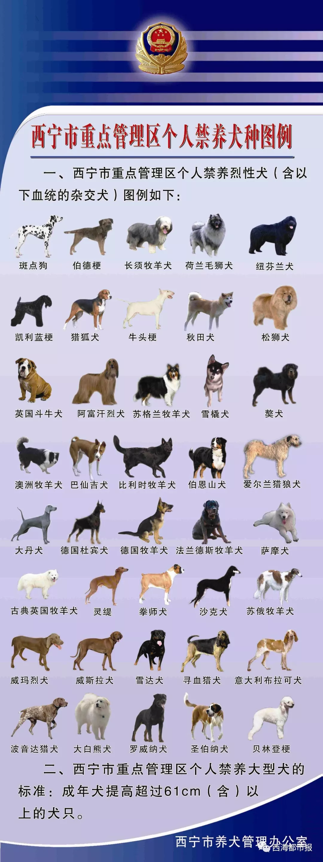 注意!西宁禁养这40种犬,狗狗外出不拴链乱跑会被收容