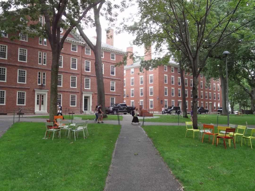 夏天的 harvard yard(ys 摄)