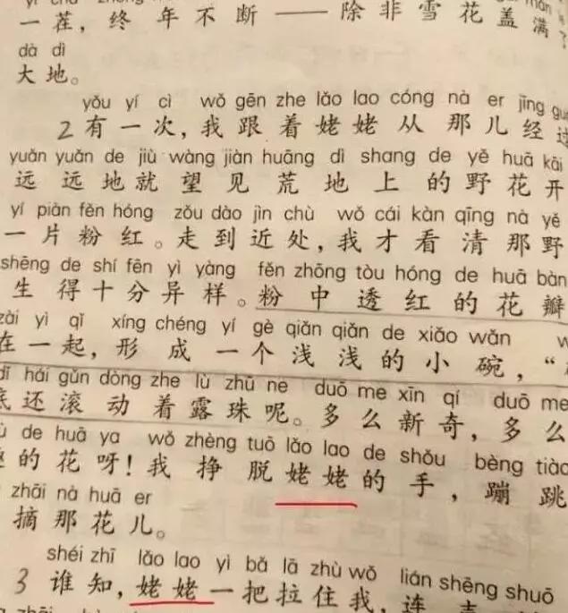 成语文什么什么道_语文手抄报(2)