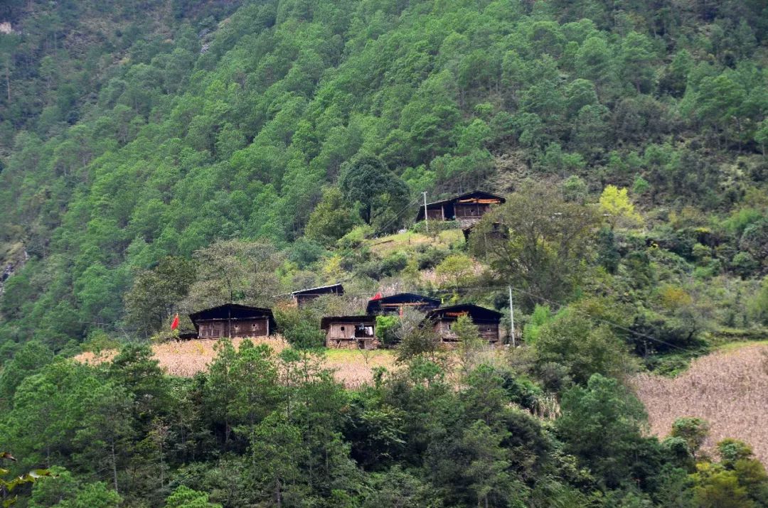在云南和交界处,有一个与世隔绝的小村庄,堪称世外桃源