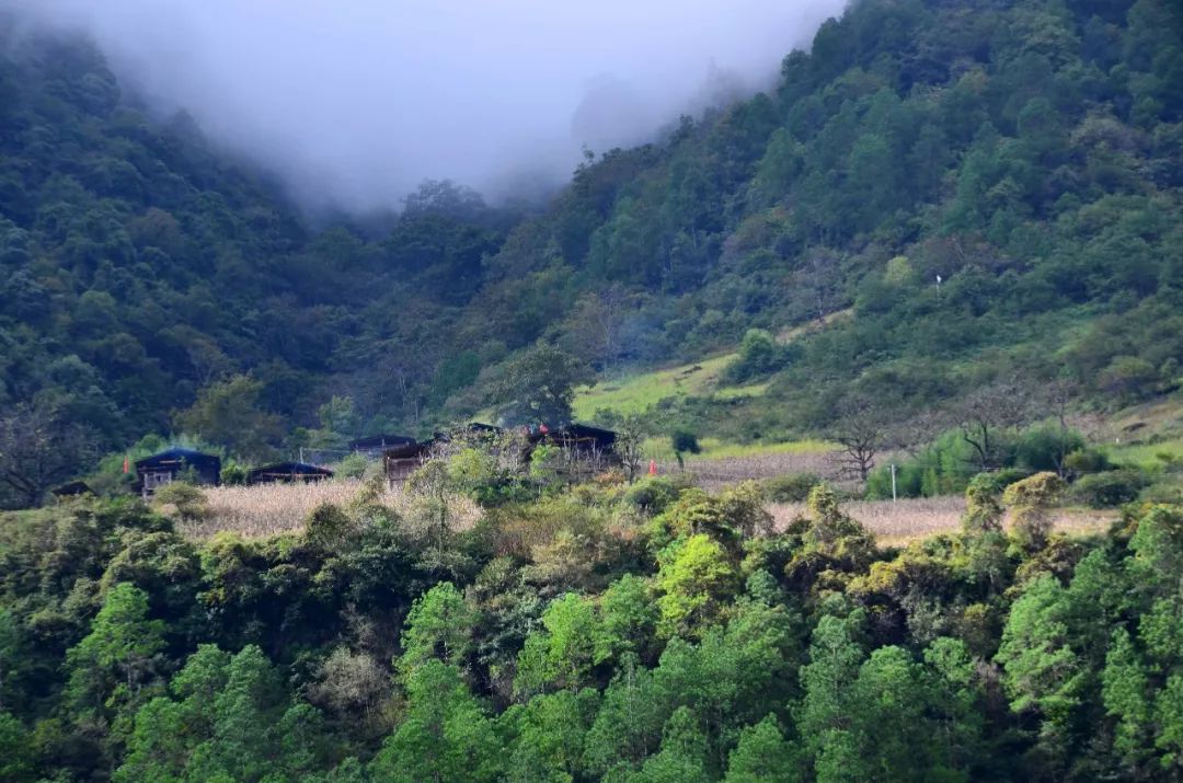 在云南和交界处,有一个与世隔绝的小村庄,堪称世外桃源