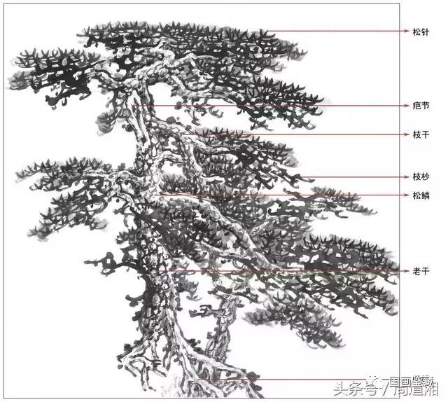 在国画技法中松树及石头画法