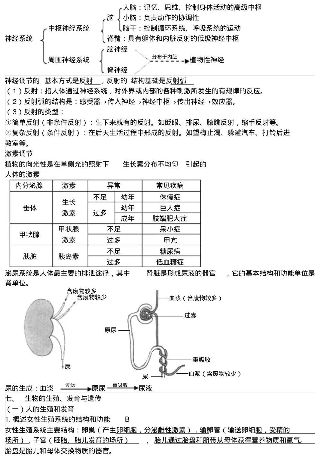 初中生物必考知识点,超实用