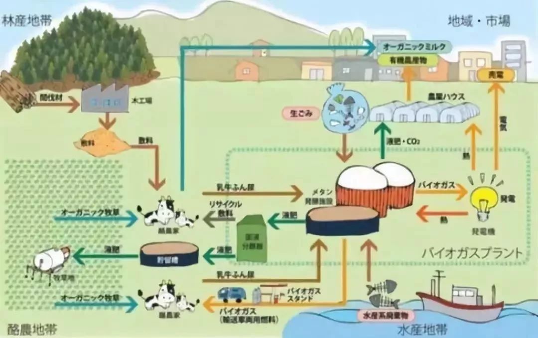 了解一下空气清新的牛粪发电厂打造生物质城镇