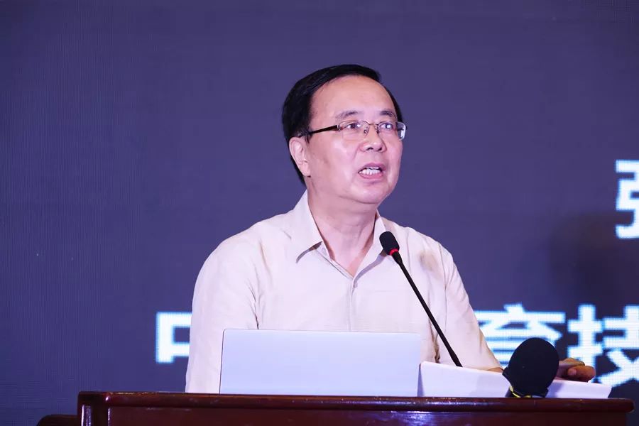 中国教育技术协会常务副会长,虚拟现实教育联盟秘书长张少刚