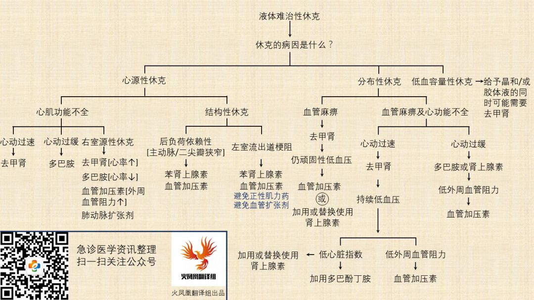 根据循环衰竭的病因使用血管活性药物的决策树[获取本流程图的ppt