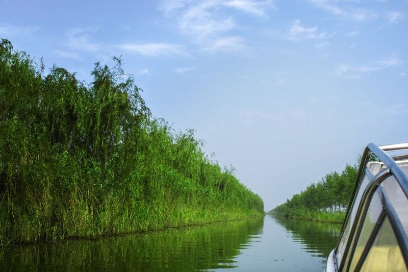 高邮湖芦苇荡湿地公园风景区位于界首芦苇荡核心部位,总面积约35平方