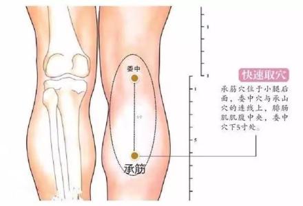 承筋穴位置图和作用