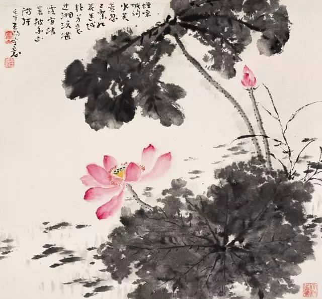 霍春阳花鸟画教学菊花牡丹荷花的画法