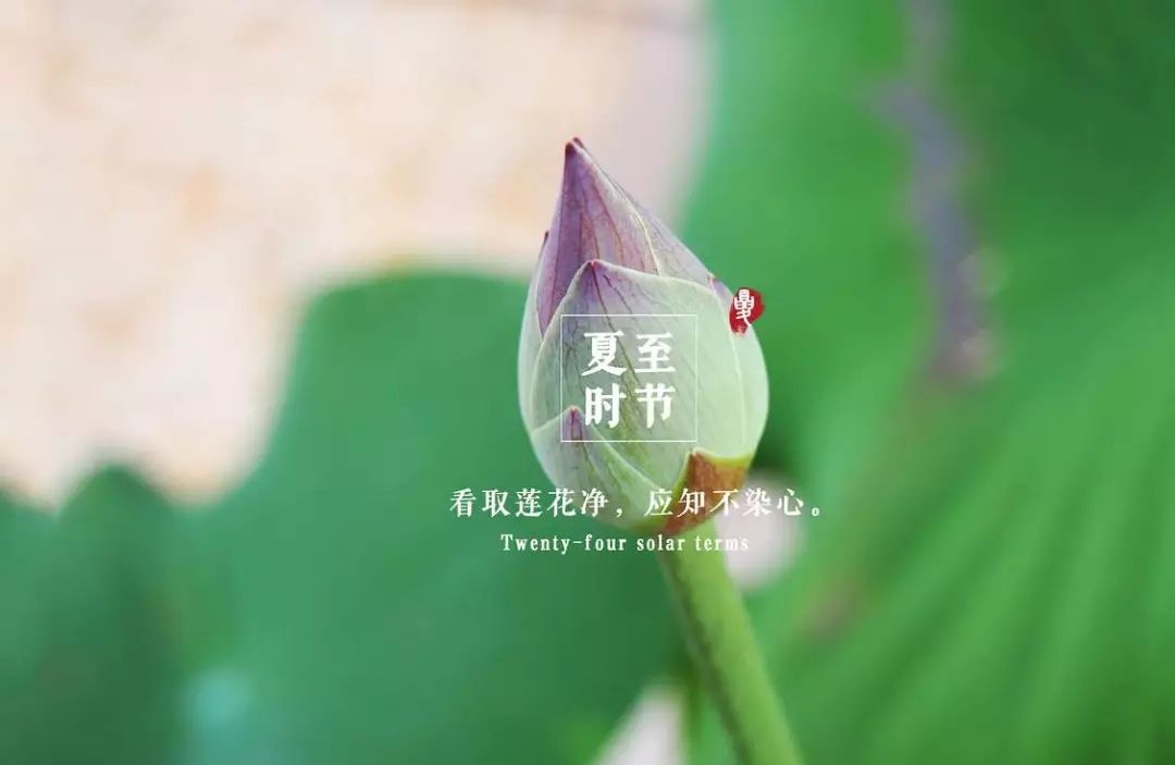 "夏至"节气:清心降火,顾护阳气