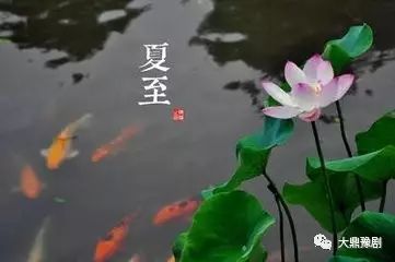 夏至问候,祝福所有朋友幸福安康!夏至应注意祛湿防暑