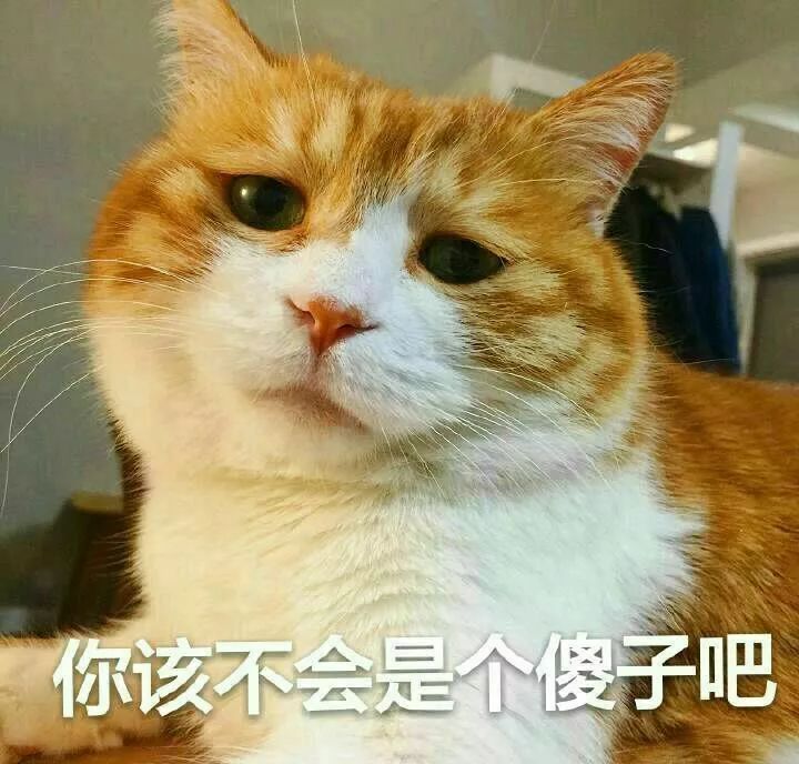 为什么很多人聊天都喜欢用猫咪表情包?(附最全猫咪表情包)