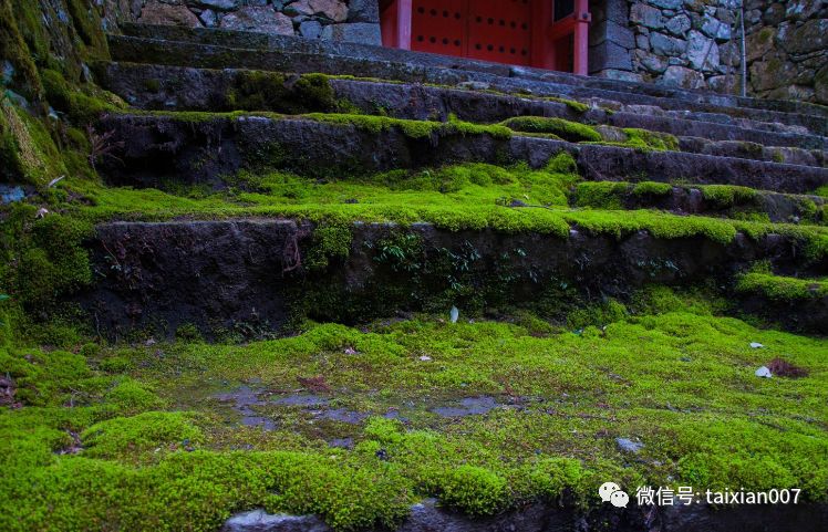 雨过一蝉噪青苔满阶砌