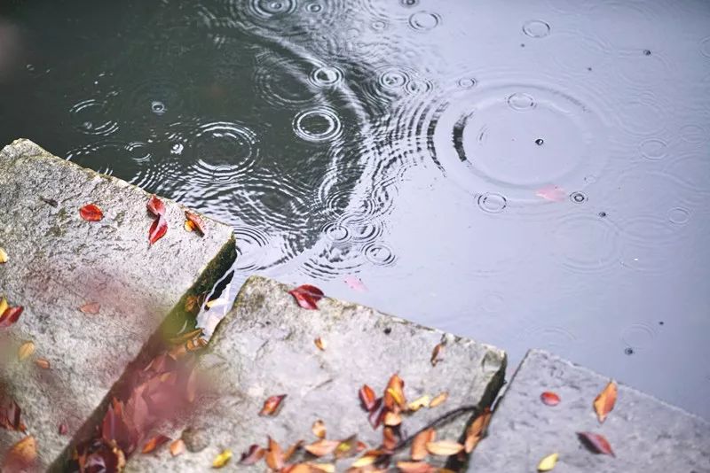 一探窗外,大雨磅礴,滴滴答答敲打着窗棂,大概这就是"临窗卧听风吹雨"