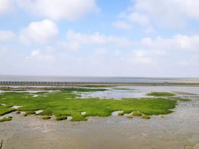 【旅行】江浙沪美丽的岛又何止东极一个:骑行横沙岛