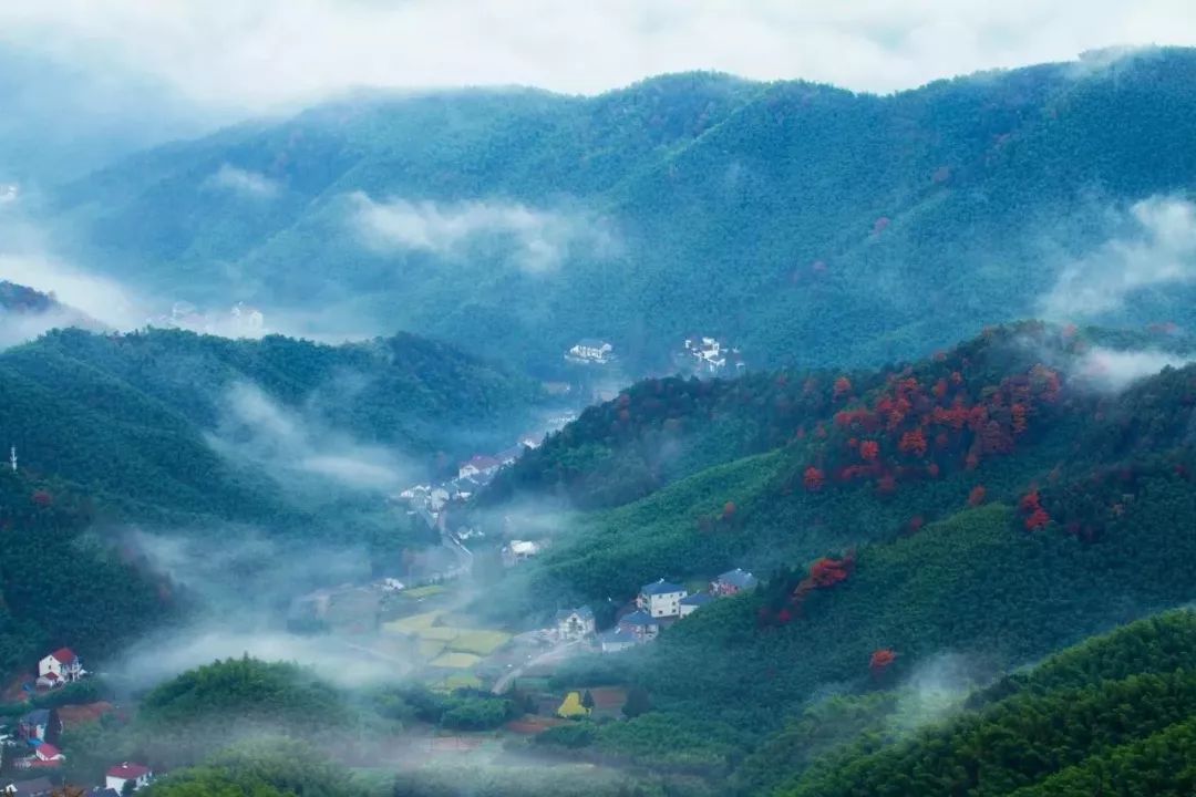 虫鸣鸟叫而德清人已经在塔山森林公园黄昏时分的北上广杭没有下班时间