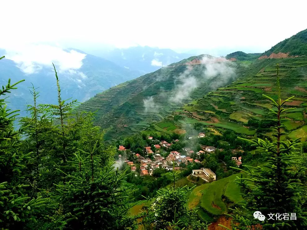 【组图】雨后甘肃陇南宕昌毛羽山,美的让人窒息!