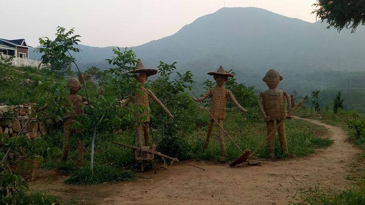 探索乡村之美，农业生态旅游的魅力