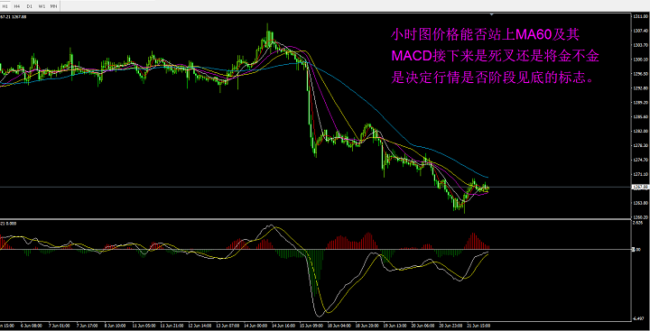 GDP血液_血液循环图(2)