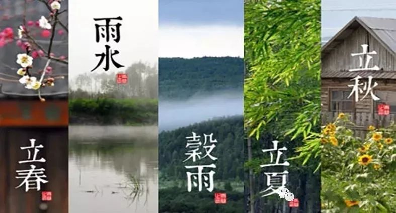 二十四节气|节气艾灸到底有什么好处?(建议收藏)