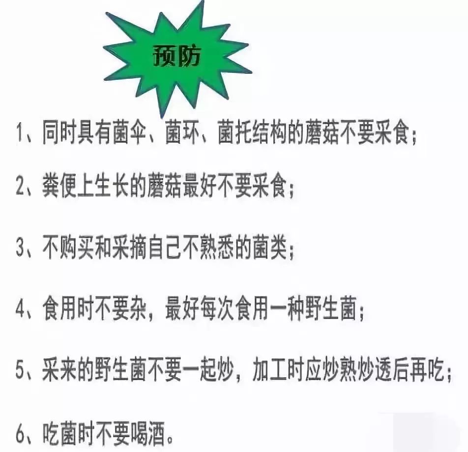 珍爱生命安全饮食拒绝毒蘑菇致学生家长的一封信