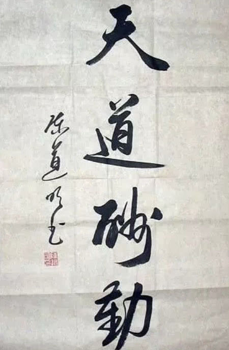 刘德华写字好看,徐静蕾写字好看,杜海涛宋小宝写字更好看