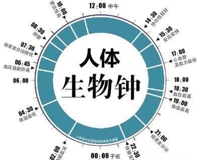 什么叫人口更替周期_人口老龄化图片(3)