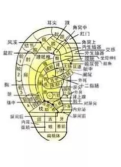 通过观察耳朵就可以了解全身疾病,耳诊真的有这么玄乎