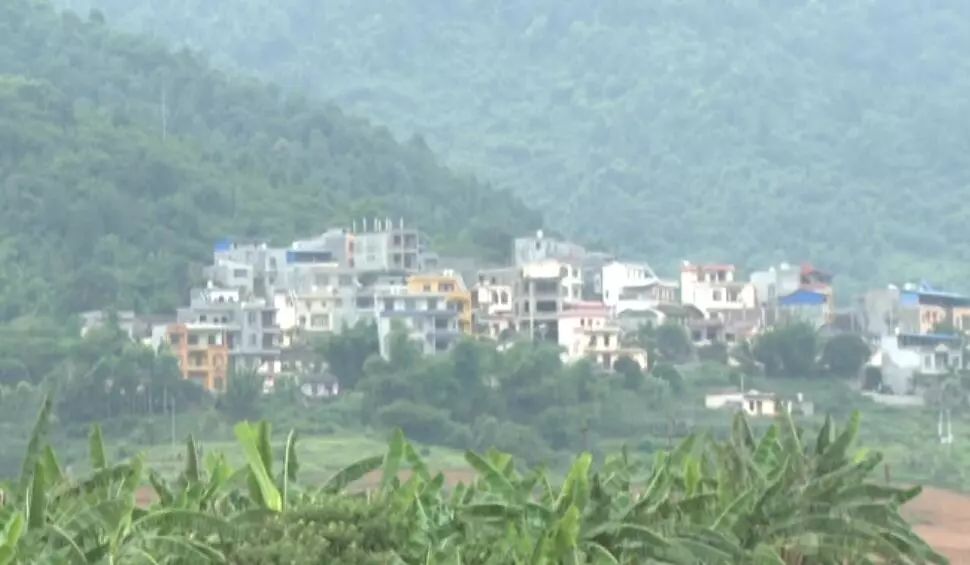 近段时间,家住凭祥市友谊镇礼茶村的陆女士和潘先生两家都十分开心