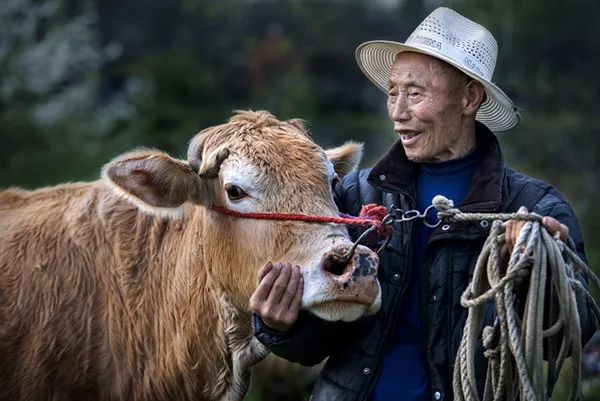 仝姓人口_凉凉!教育部调查仝卓改往届生身份仝卓是谁仝字怎么念