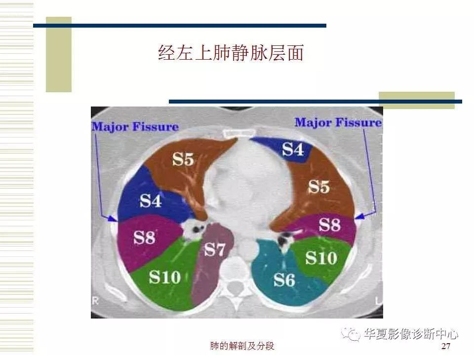 肺部解剖与分段