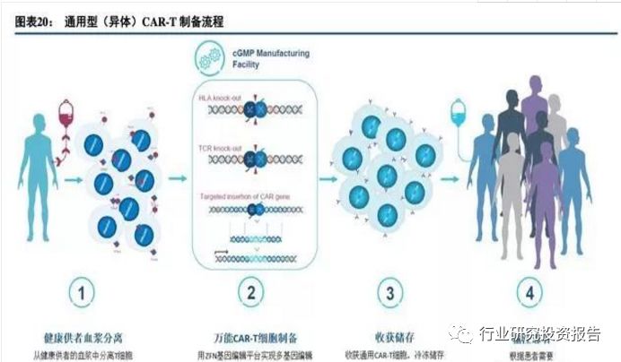 细胞治疗行业国际巨头重金加码细胞治疗商业化进程有望超预期