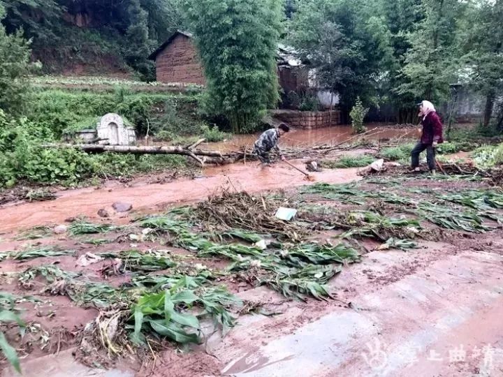 会泽县12个乡镇遭受洪涝灾害 受灾人口达53008人图片