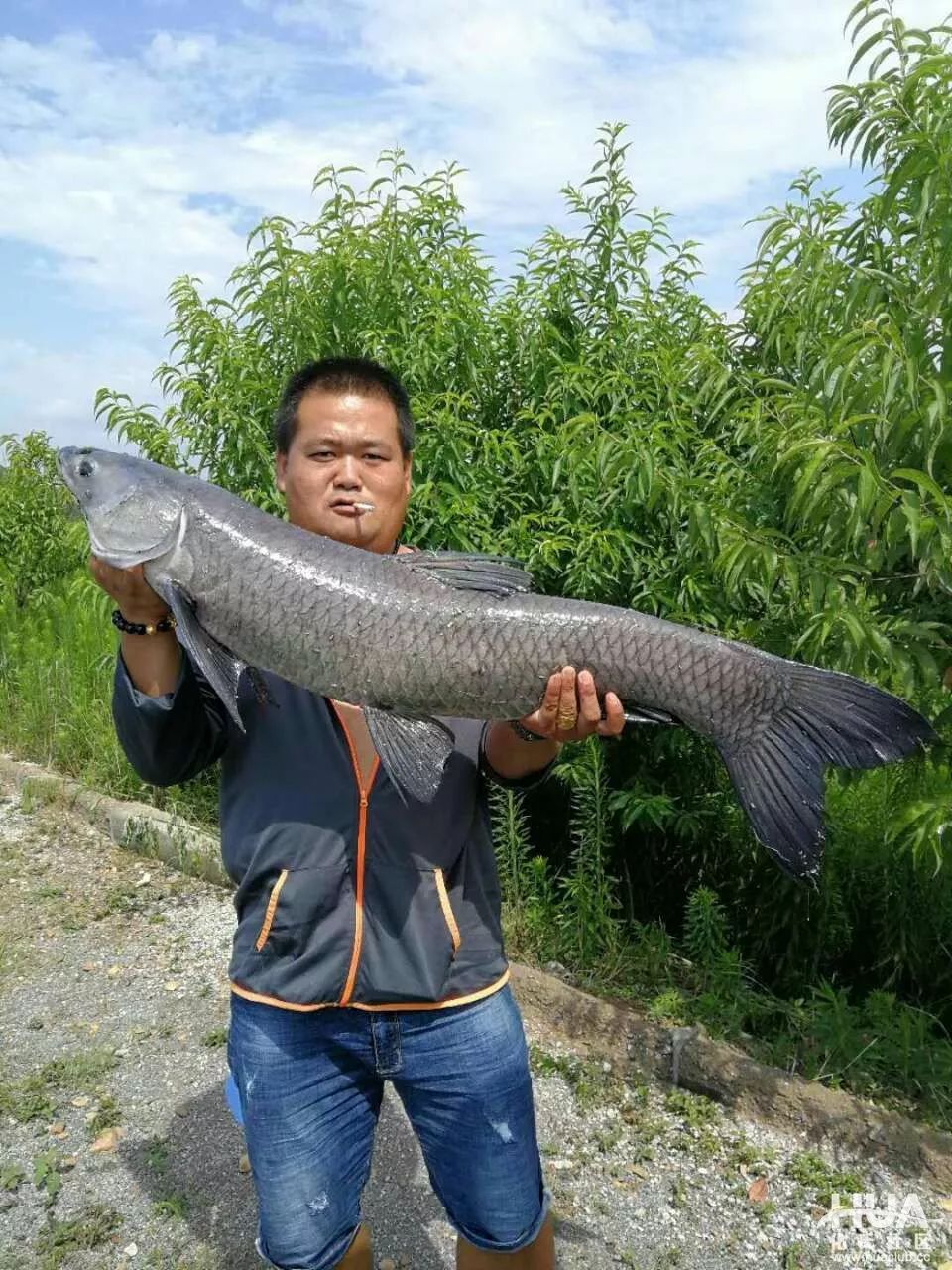 小型水库圆了大物梦,钓获38斤螺蛳青!