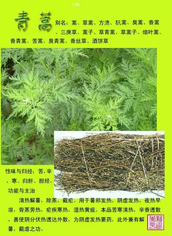 300种常见中草药图谱